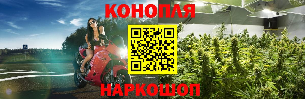 Шишки марихуана планчик  Вход с VPN  Благовещенск  Марихуана MAZAR 